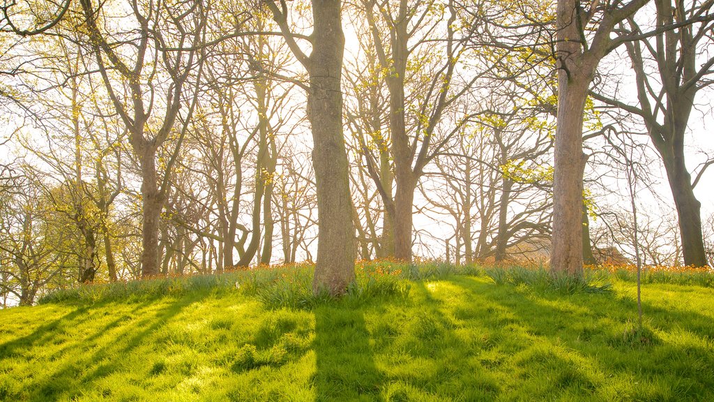 Sefton Park caracterizando um jardim