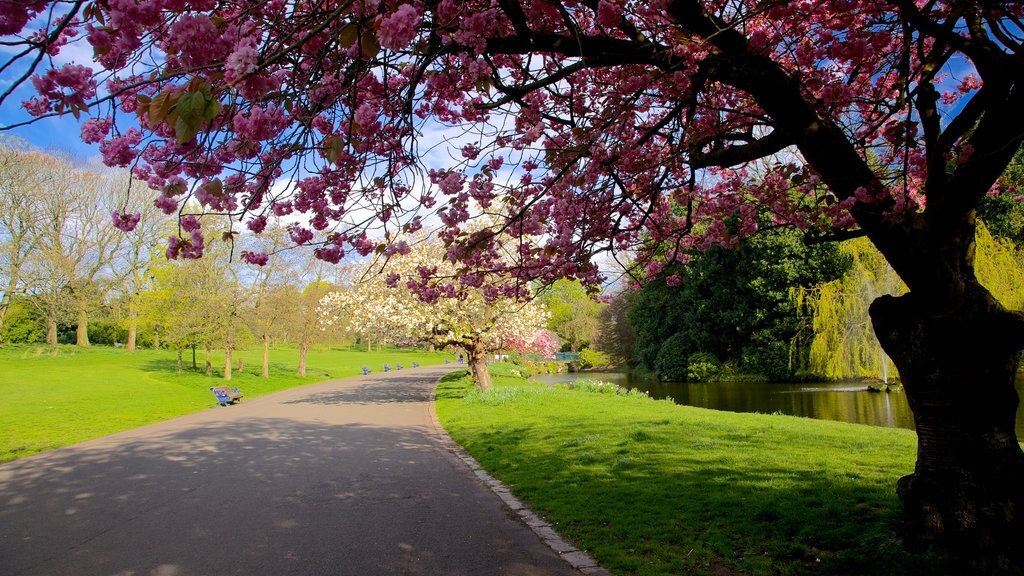 Taman Sefton menampilkan kebun