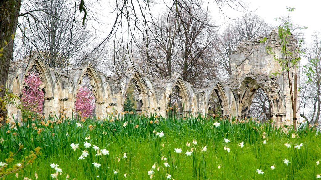 St. Mary\'s Abbey que incluye flores silvestres y ruinas de un edificio