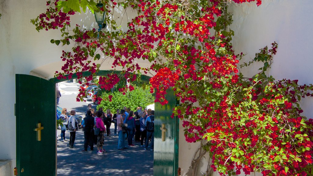 Paleokastritsa Monastery showing flowers