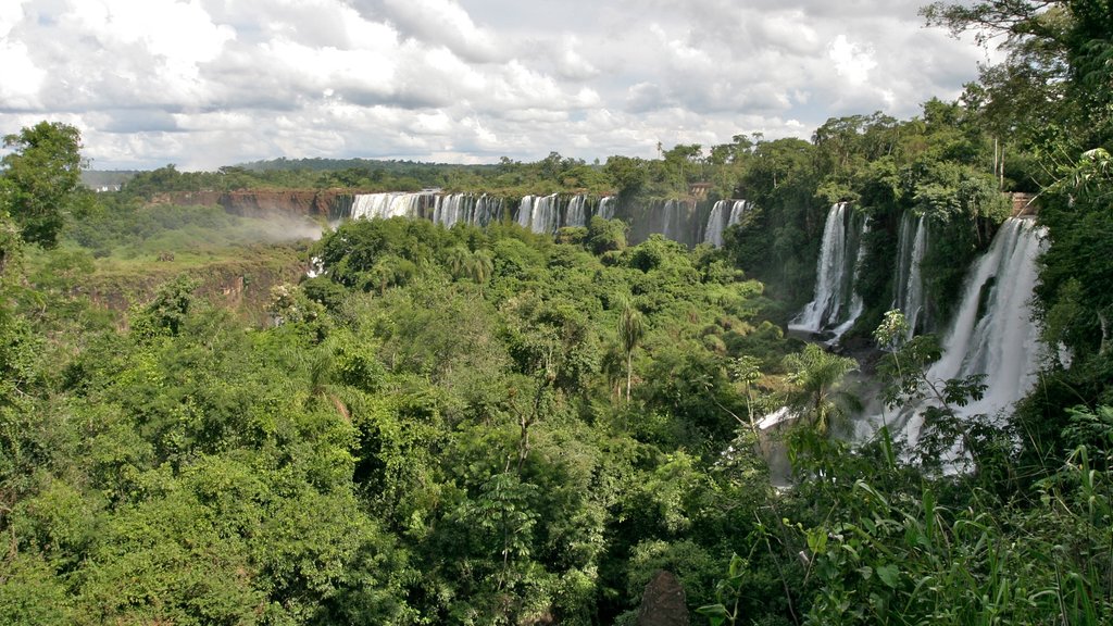 Iguazu Falls showing a waterfall and forest scenes