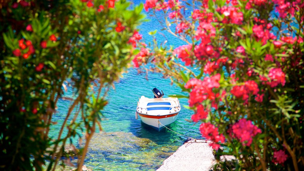 Lindos which includes flowers