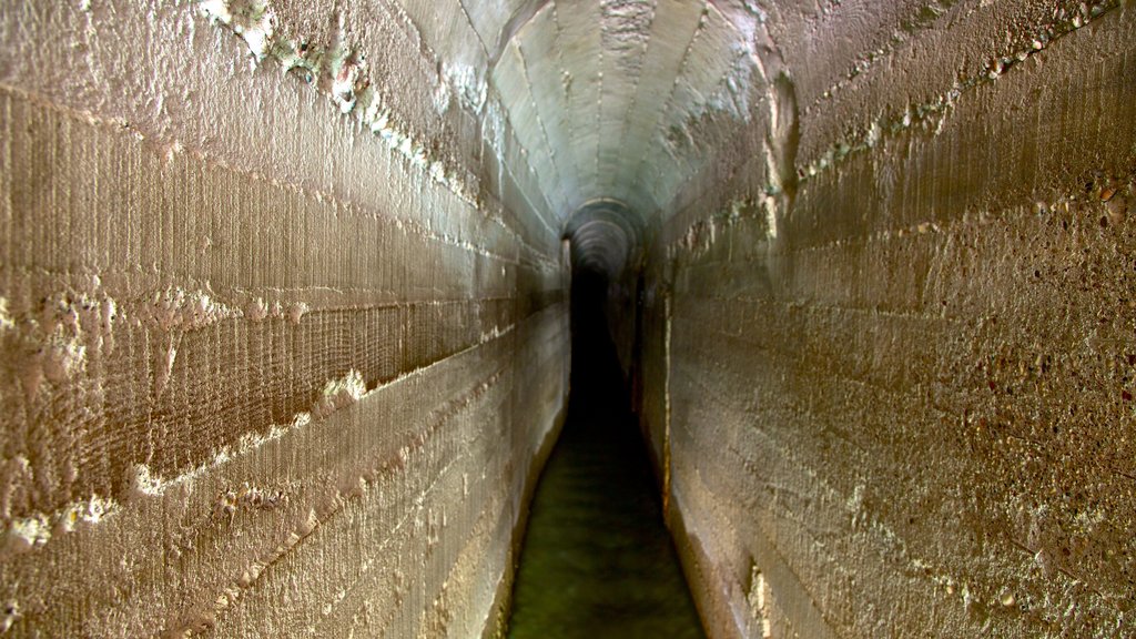 Seven Springs showing heritage architecture and interior views