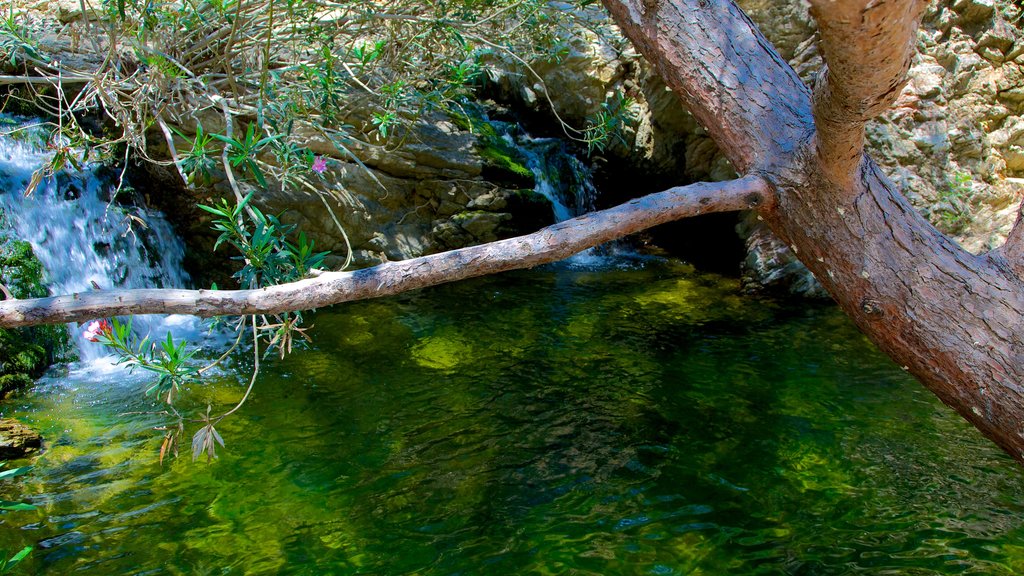 Sept sources, Afandou, Grèce qui includes un étang