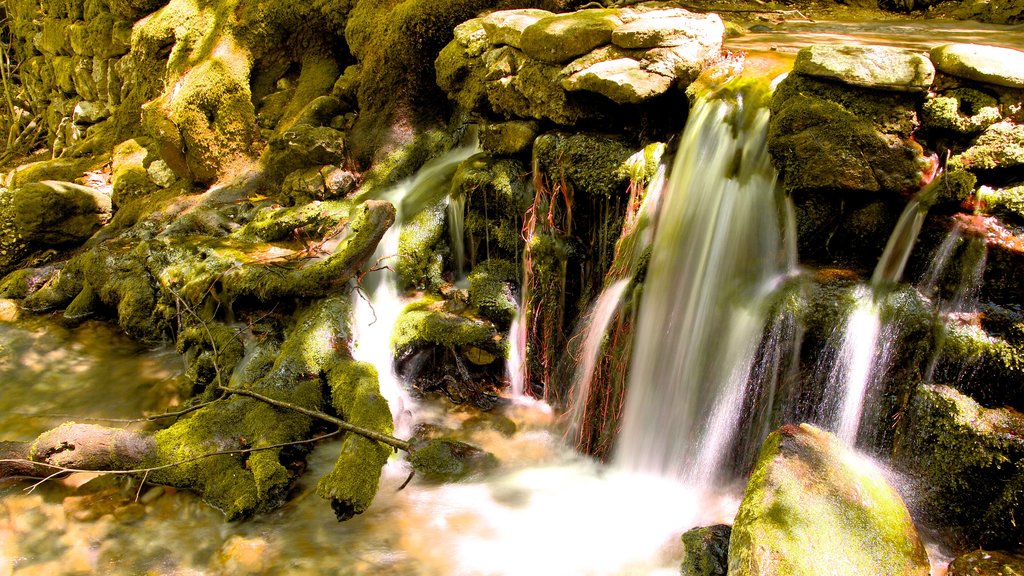 Seven Springs showing a waterfall