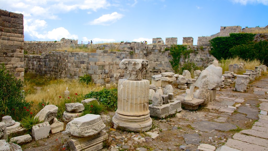 Castelo de Kos mostrando ruínas de edifício