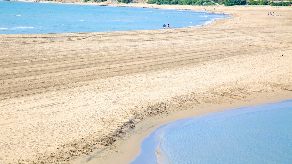 Prassonissi showing a sandy beach