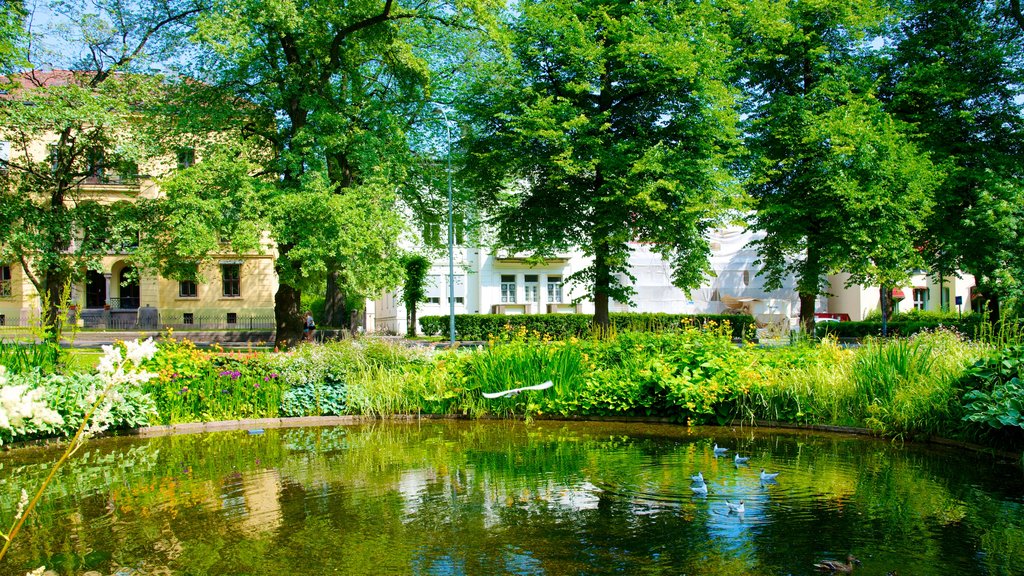 Palace Park showing a pond