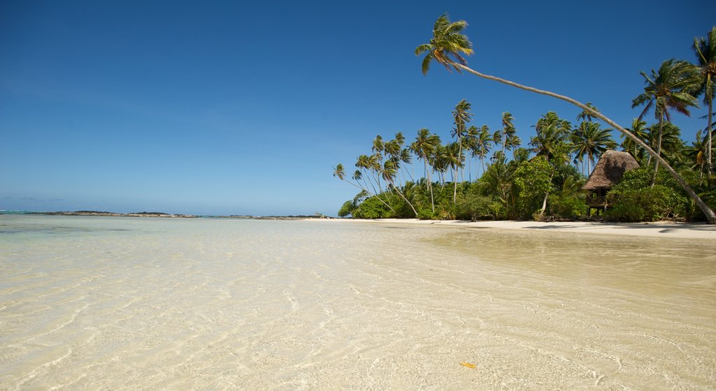 Samoa og byder på udsigt over kystområde, tropiske områder og en sandstrand