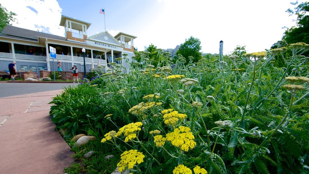 Chautauqua Park som viser blomster