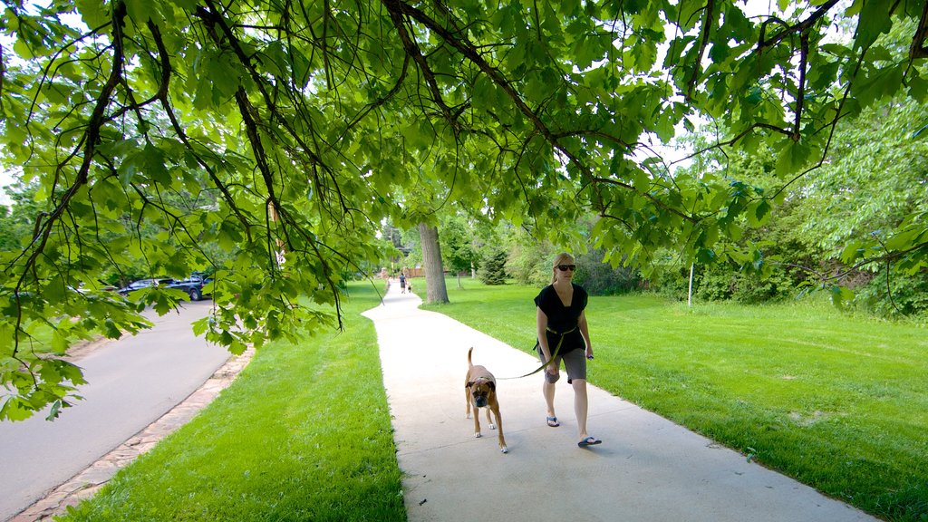 Chautauqua Park aussi bien que une femme seule