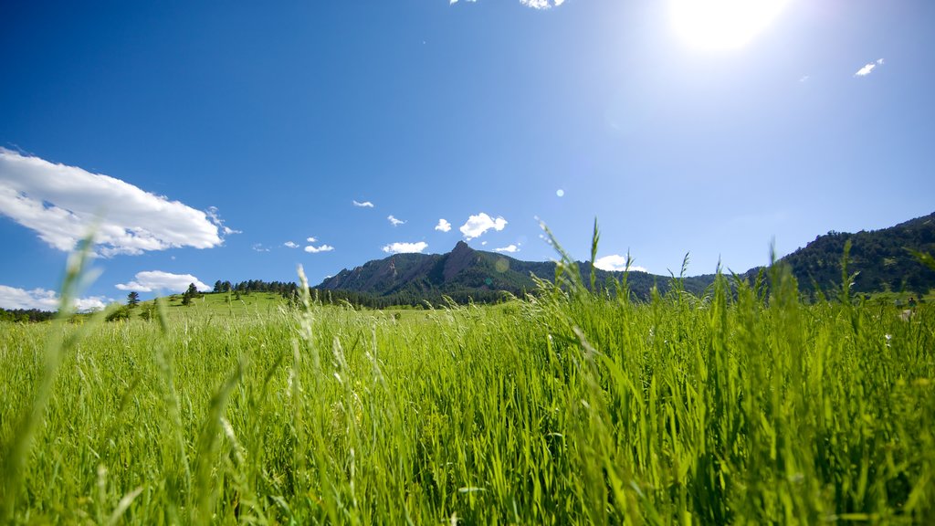 Chautauqua Park fasiliteter samt rolig landskap