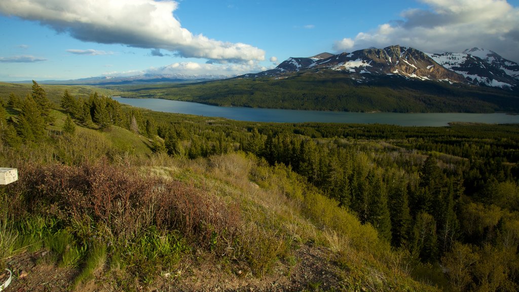 Glacier National Park showing tranquil scenes