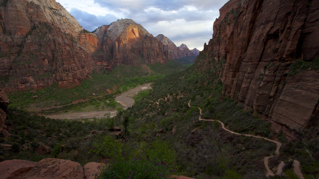 Utah toont een kloof of ravijn