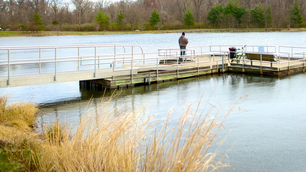 Lake Artemesia showing a lake or waterhole