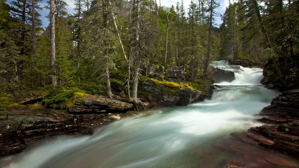 Glacier National Park showing a river or creek and rapids