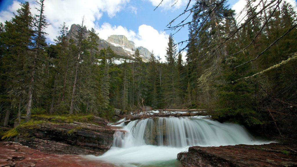 Parc national des glaciers montrant rivière ou ruisseau