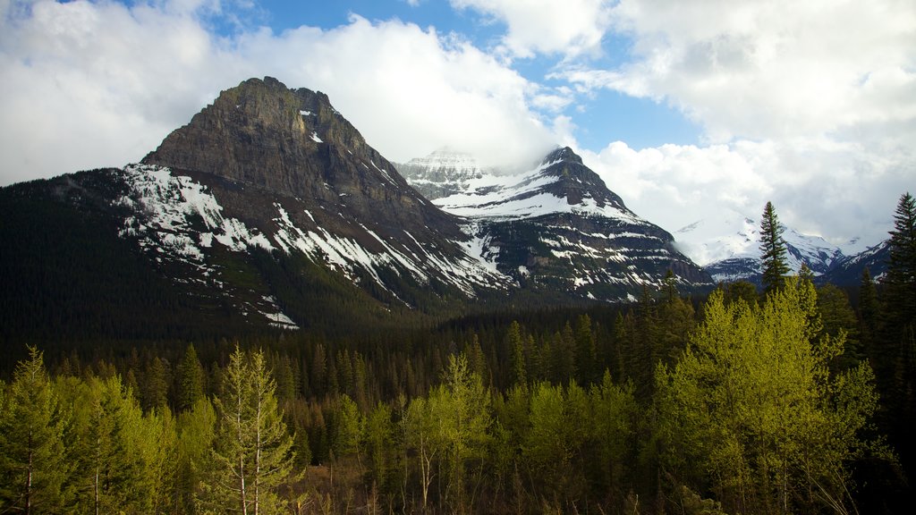 Parc national des glaciers qui includes montagnes