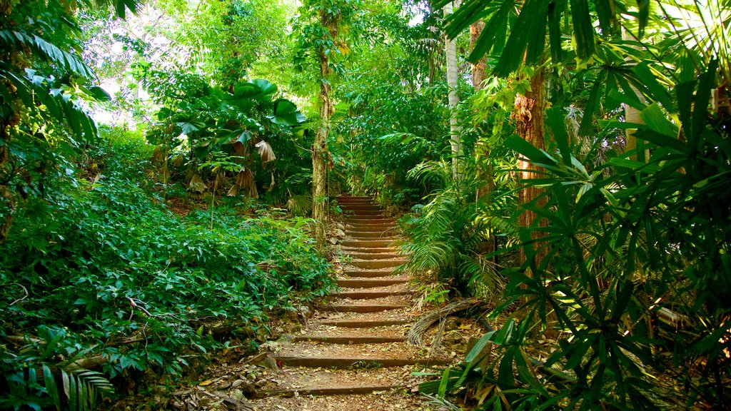 Jardins botaniques George Brown Darwin montrant un parc