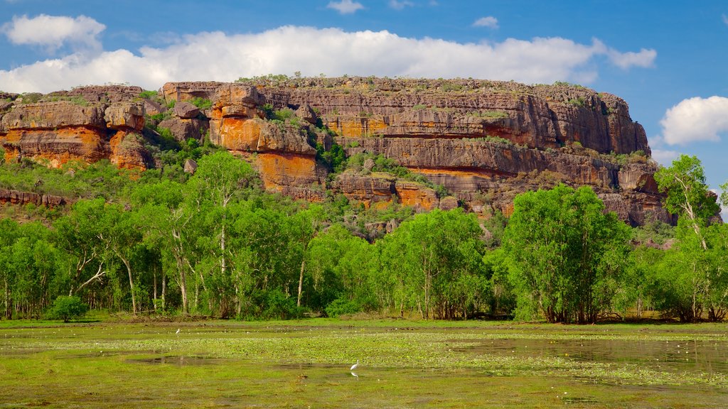 Nourlangie Rock which includes mountains