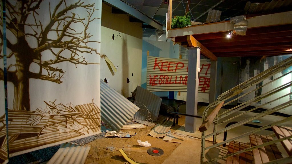 Museum and Art Gallery of the Northern Territory showing interior views