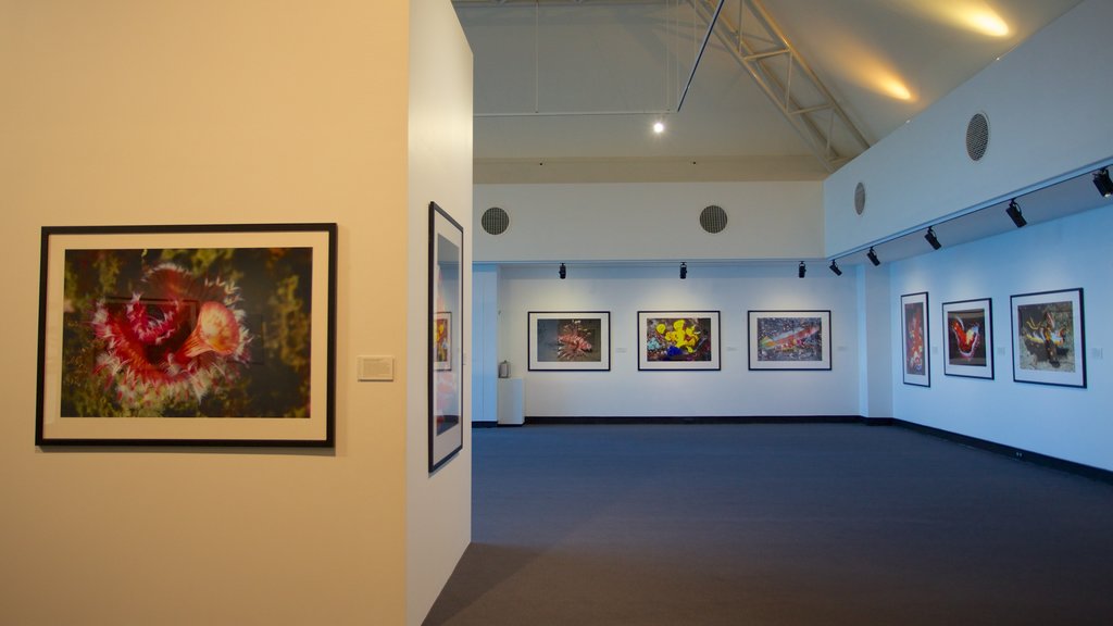 Museum and Art Gallery of the Northern Territory ofreciendo arte y vistas interiores