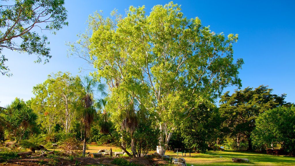 George Brown Darwin Botanic Gardens showing a garden