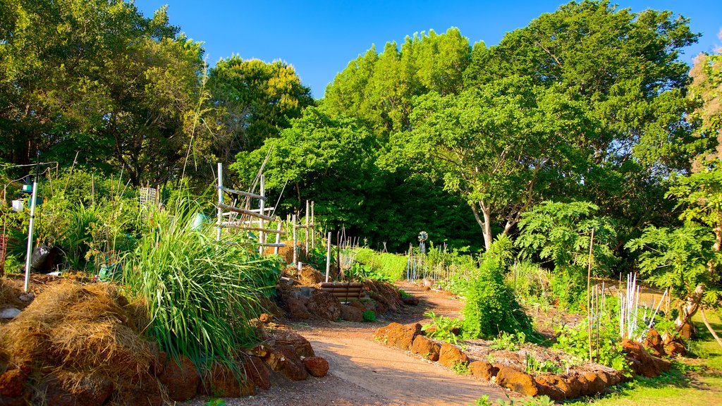 George Brown Darwin Botanic Gardens mit einem Park