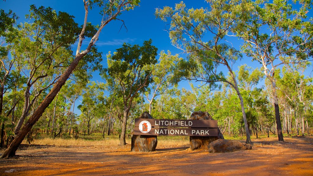 Litchfield Nationalpark som viser udsigt over landskaber og skiltning