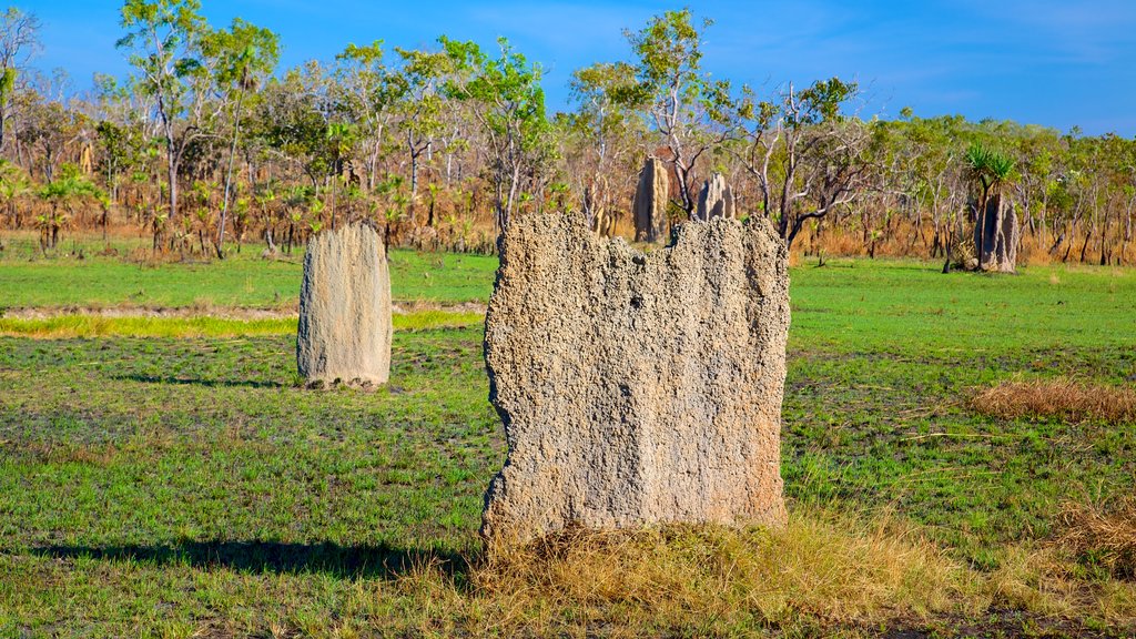 Litchfield Nationalpark og byder på udsigt over landskaber