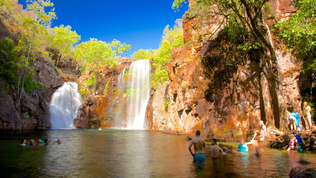 Litchfield National Park showing landscape views, swimming and a waterfall