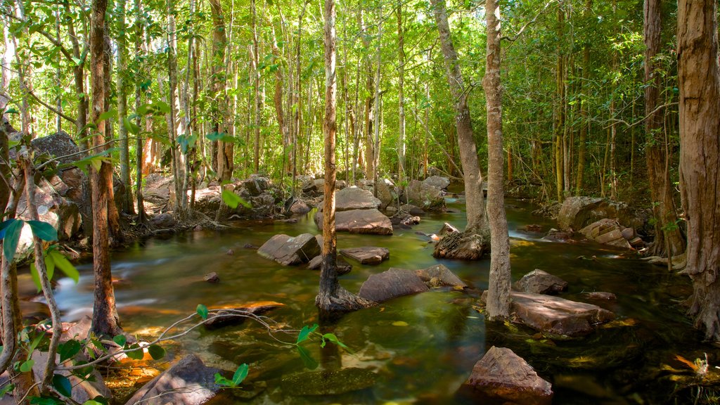 Taman Nasional Litchfield menampilkan pemandangan lanskap