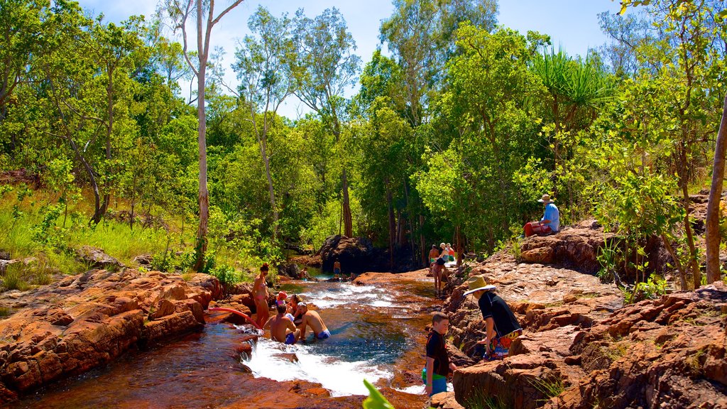 Litchfield National Park which includes swimming, landscape views and a river or creek