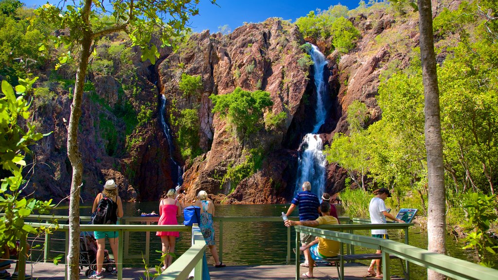 Parque Nacional Litchfield que incluye una catarata y vistas de paisajes y también un gran grupo de personas