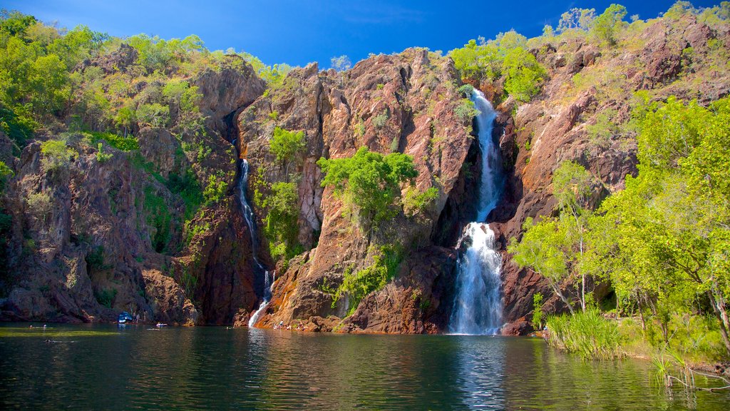 Litchfield National Park featuring landscape views and a cascade