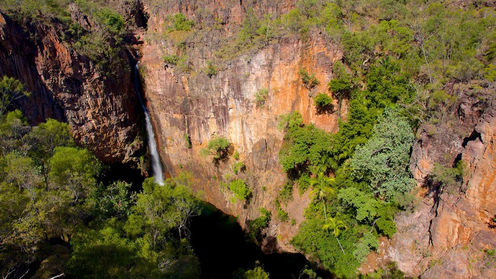 Parque Nacional Litchfield que incluye vista panorámica, cataratas y una garganta o cañón