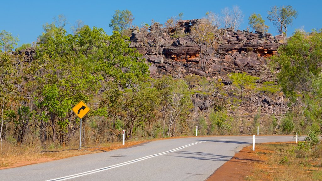 Litchfield National Park which includes landscape views and signage