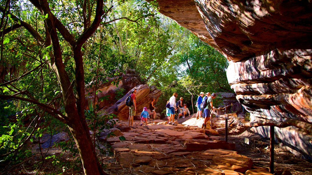 Ubirr aussi bien que un grand groupe de personnes