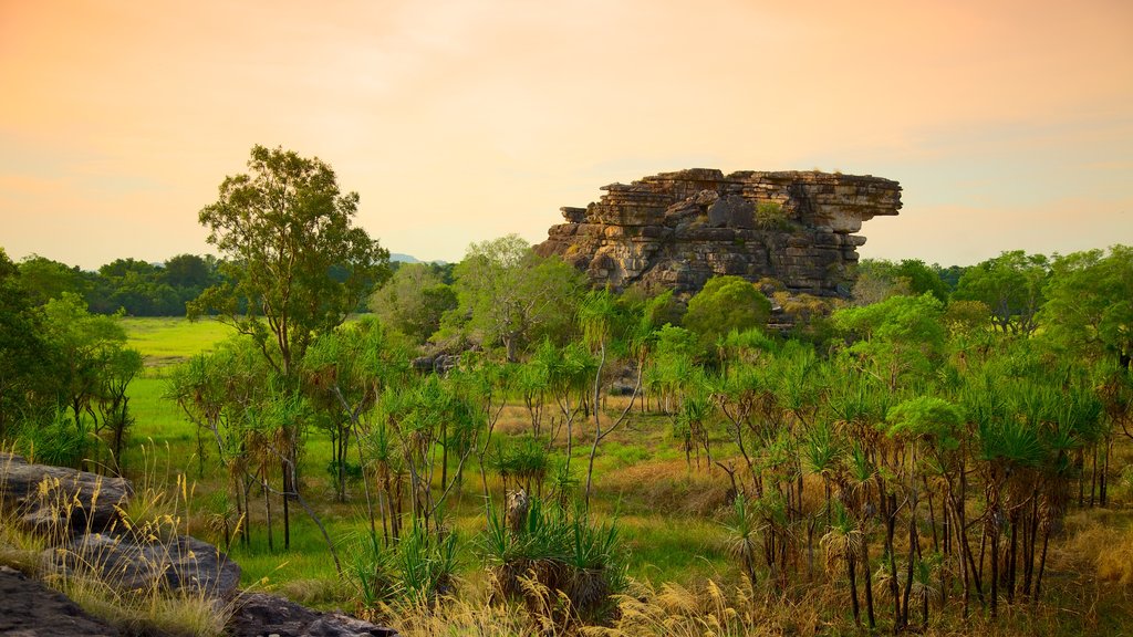 Ubirr que incluye una puesta de sol