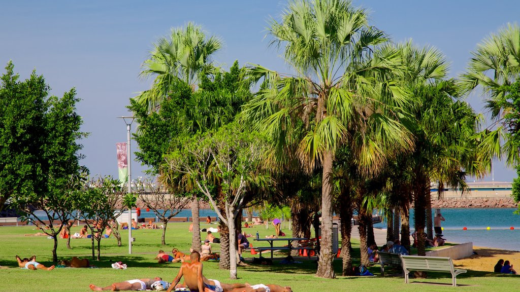 Paseo Marítimo de Darwin ofreciendo un jardín