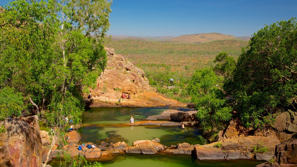 Parc national de Kakadu montrant un lac ou un point d’eau