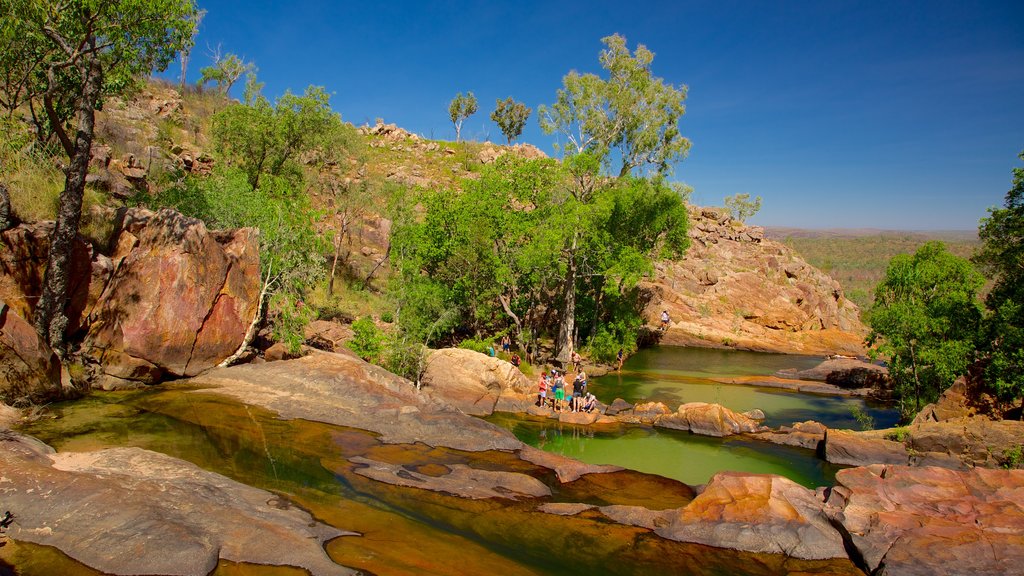 Parque Nacional Kakadu mostrando un lago o espejo de agua