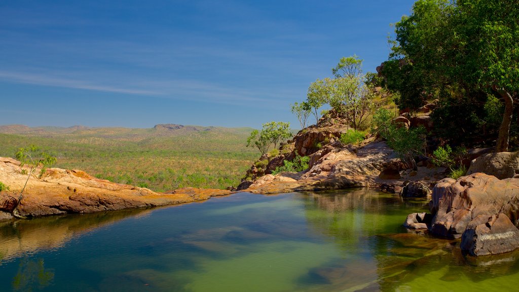 Kakadu qui includes lac ou étang