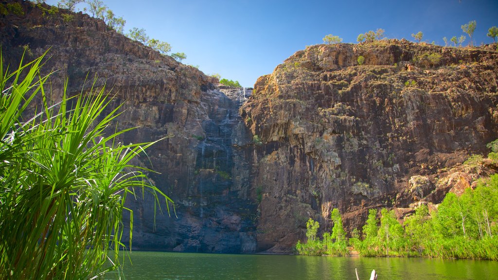 Kakadu National Park which includes a cascade