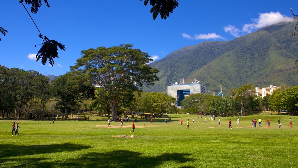 Northern Mountains showing a park