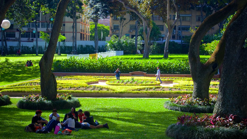 Northern Mountains showing picnicking and a park as well as a large group of people