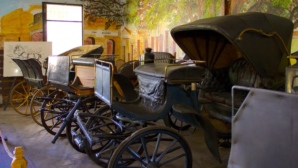 Guillermo José Shael Transportmuseum