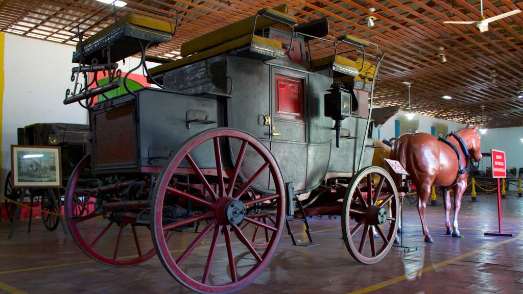 Guillermo José Shael Transportmuseum