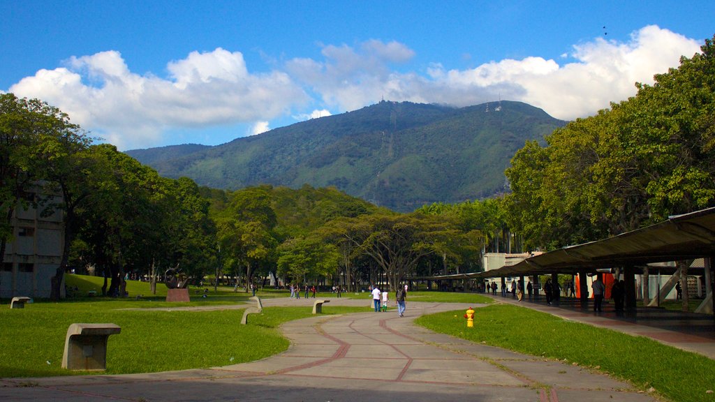 Northern Mountains showing tranquil scenes and a garden