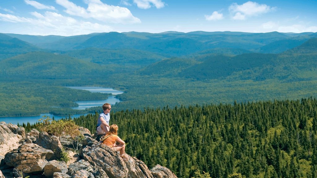 New Brunswick showing forest scenes as well as a couple